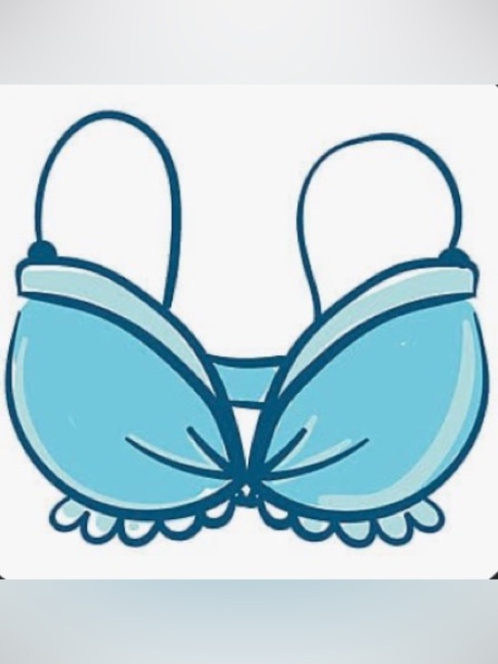 Other - BRAS Shapermint Bali Torrid New